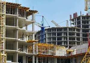 تخصیص زمین‌های بکر: سیاستی ناکارآمد و ناکام