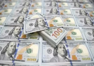 پویش جدید بازار ارز: آخرین نرخ دلار هرات در سه‌شنبه ۲۰ خرداد ۱۴۰۴