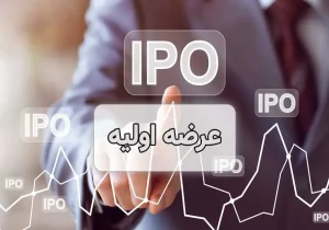 چقدر سرمایه برای عرضه اولیه رپویا نیاز است؟