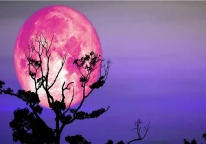 پدیده ماه صورتی در خرداد: فرصت تماشا را از دست ندهید