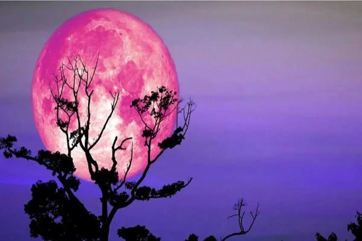 پدیده ماه صورتی در خرداد: فرصت تماشا را از دست ندهید